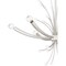 Quoizel Kiera Chandelier 6 Lights Polished Nickel PCKIE5029PK - alternate 2